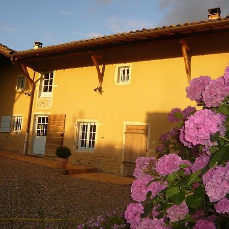 Bed & Breakfast - Maison De Marie Messimy-sur-Saone Exterior photo