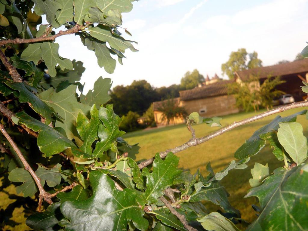 Bed & Breakfast - Maison De Marie Messimy-sur-Saone Exterior photo