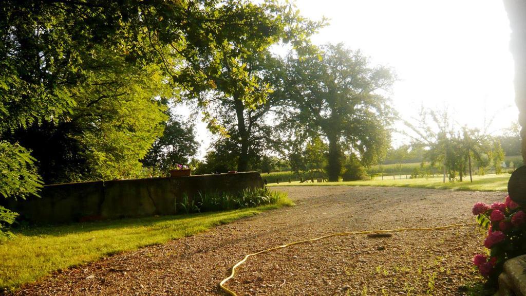 Bed & Breakfast - Maison De Marie Messimy-sur-Saone Exterior photo